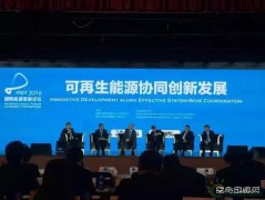 可再生英皇体育到底怎么降成本？ 听听行业大咖在苏州怎么说