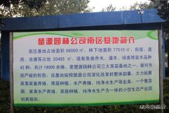 矿工变蔗工：中煤楚源公司拓展农业种植再添优质甘蔗品种
