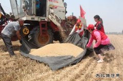 太康县供电公司：走进贫困家庭助麦收