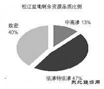 松辽盆地：迈向非常规新时代