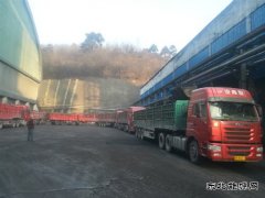 蒲白建庄矿业：日销量创新高 年度强势开局