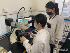 潞安焦化：用“匠心精神”打造“硬品牌”