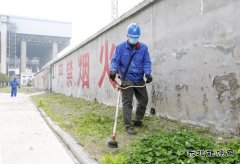 蒲洲热电：绿化厂区保安全
