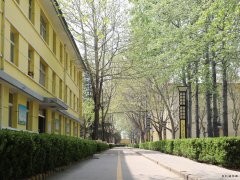 蒲白西固煤业：把“小家碧玉”打扮成“大家闺秀”促煤炭销售