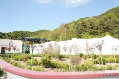 建新煤化：制氮通风搬“新家” 花园风井美如画