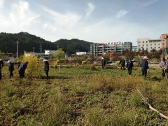 蒲白建庄矿业：开展矿区绿化打造美丽矿山