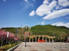 铜川矿业下石节矿：文明花开香满矿山