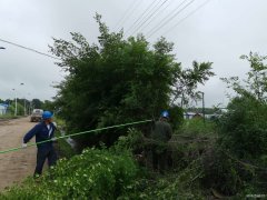 兴凯湖电业公司：盛夏全面清理树障 确保迎峰度夏、防汛安全供电
