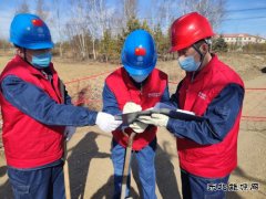 大兴安岭供电公司：激活“党建+” 为企业强“根”筑“魂”