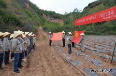 蒲白矿业技校联合党委：“党建+”引领产教融合“跑起来”