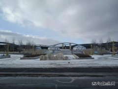 赏雪