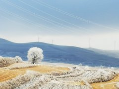 冬日风景　