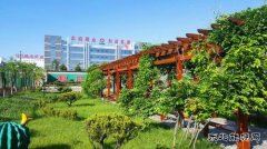 蒲白建庄矿业：懂得敬畏，才是真正强大的开始