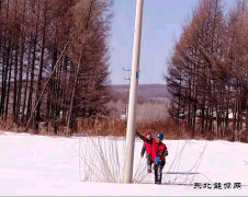 兴凯湖电业公司：最美人间三月天，踏雪巡线正当时