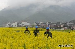 源县供电公司：积极备战 为油菜花旅游旺季提供可靠电力保障