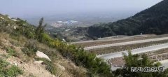 蒲洲热电公司：践行“两山”理论 倡导绿色文化 实现清洁生产