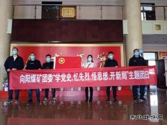 向阳矿团委组织开展“学党史、忆先烈”主题团日活动