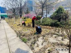 陕煤陕北矿业涌鑫公司：添绿抖尘  矿区处处展“新颜”