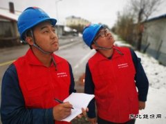 国网大兴安岭供电公司：雪后特巡 保电在行动