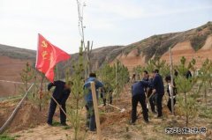 陕煤陕北矿业涌鑫公司：争做党史学习“领头雁”