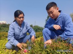 用热爱撑起一片绿荫——记甲帮苗木花卉公司关红、林达师徒