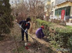 蒲白中心社区：用责任和担当“扮靓”矿区容颜