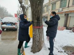 中心社区：用责任和担当“扮靓”矿区容颜