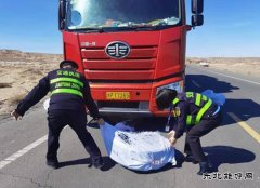 阿勒泰执法支队：Ｖ捶ù蠖蛹比褐谥保褐谂庞墙饽