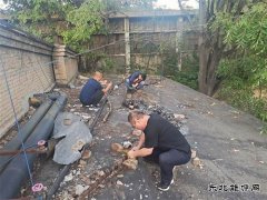 白水马南社区：紧急抢修 快速恢复居民供电