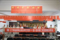 精准帮扶：党建引领乡村振兴