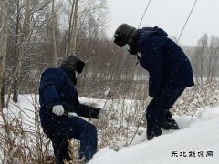 国网松岭供电公司：践行二十大精神 “一切为民”服务葆初心