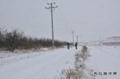 国网巴林左旗供电公司：雪后巡线保障供电安全