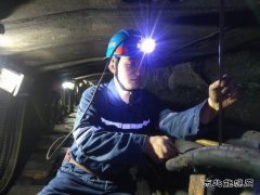 王虎雄：在平凡中坚守，用汗水浇灌收获
