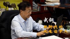武钢：风电已成火电、水电之后的第三大主力电源