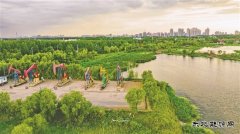 大庆油田：打造生态治理“新名片”