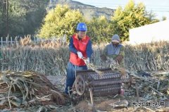 国网巴林左旗供电公司：“满格电”助力小笤帚大产业